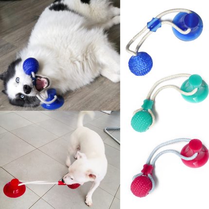 Dog ball on rope