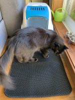 Double layer cat mat bed pads pet product bed trapping pet litter box mat house clean mat for cats waterproof pet cat litter mat