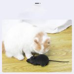 Remote control mouse cat toy