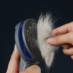 Paws channel® cat comb