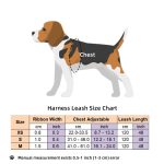 Small dog leash harness