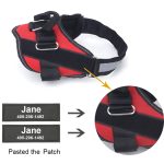No pull dog harness