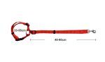 Pet hand holding rope, retractable safety belt