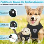 Adjustable cat harness and leash