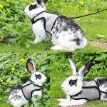 Rabbit harnesses and vest leashes set