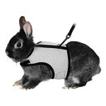Rabbit harnesses and vest leashes set