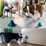 Dog ball on rope