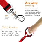 Pet hand holding rope, retractable safety belt