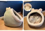Sweet cat bed