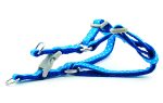 Small dog leash harness