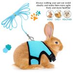 Rabbit harnesses and vest leashes set