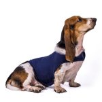 Dog comfort vest – anti anxiety, fear and stress relief