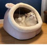 Sweet cat bed