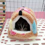 Hamster house with soft bed