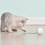 Automatic smart cat toy ball
