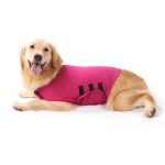 Dog comfort vest – anti anxiety, fear and stress relief