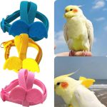 Long cable bird harness leash