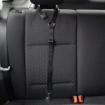 Pet hand holding rope, retractable safety belt