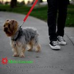 Pet hand holding rope, retractable safety belt