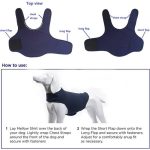 Dog comfort vest – anti anxiety, fear and stress relief