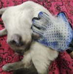 Magic fur removal glove
