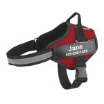 No pull dog harness
