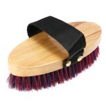 Horse cleaning set