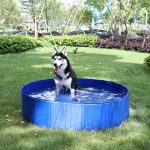 Foldable dog swimming  pool