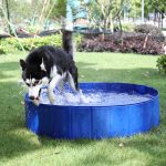 Foldable dog swimming  pool