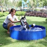 Foldable dog swimming  pool