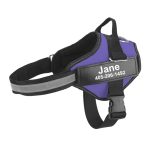 No pull dog harness