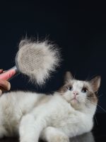 Paws channel® cat comb