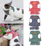 Cat vest harness and leash set