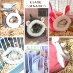 Beautiful hamster house
