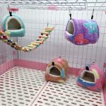 Hamster house with soft bed