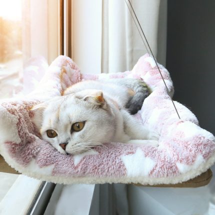 Cat window bed