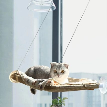 Cat window bed