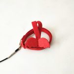 Long cable bird harness leash