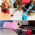 Dog ball on rope
