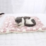 Breathable hamster pad