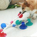 Dog ball on rope