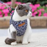 Cat vest harness and leash set