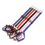 Pet hand holding rope, retractable safety belt