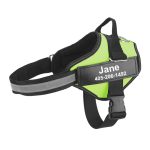 No pull dog harness