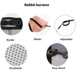 Rabbit harnesses and vest leashes set
