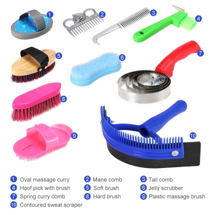Horse cleaning set