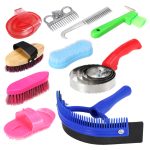 Horse Cleaning Set