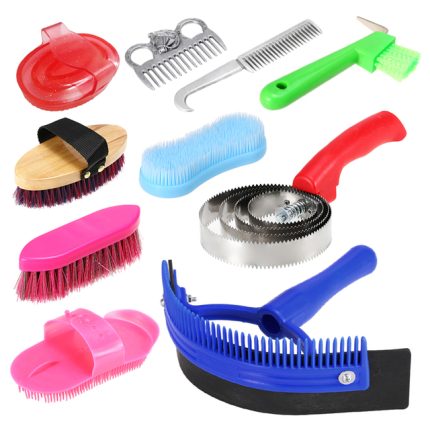 Horse cleaning set