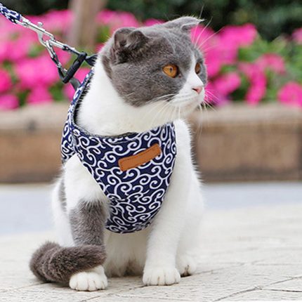 Cat vest harness and leash set