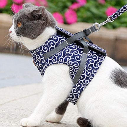 Cat vest harness and leash set
